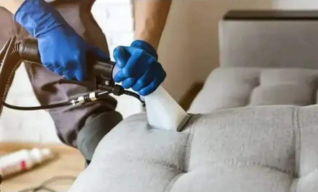 CARPET CLEANING