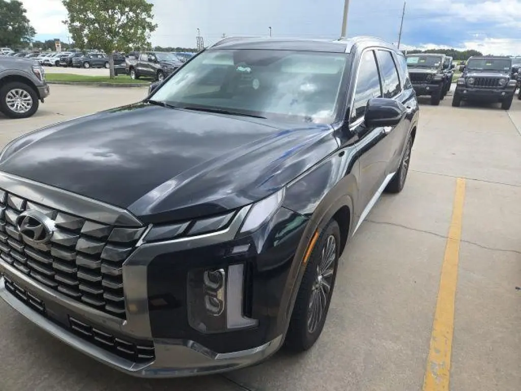 Hyundai PALISADE 2025 Calligraphy 4dr SUV