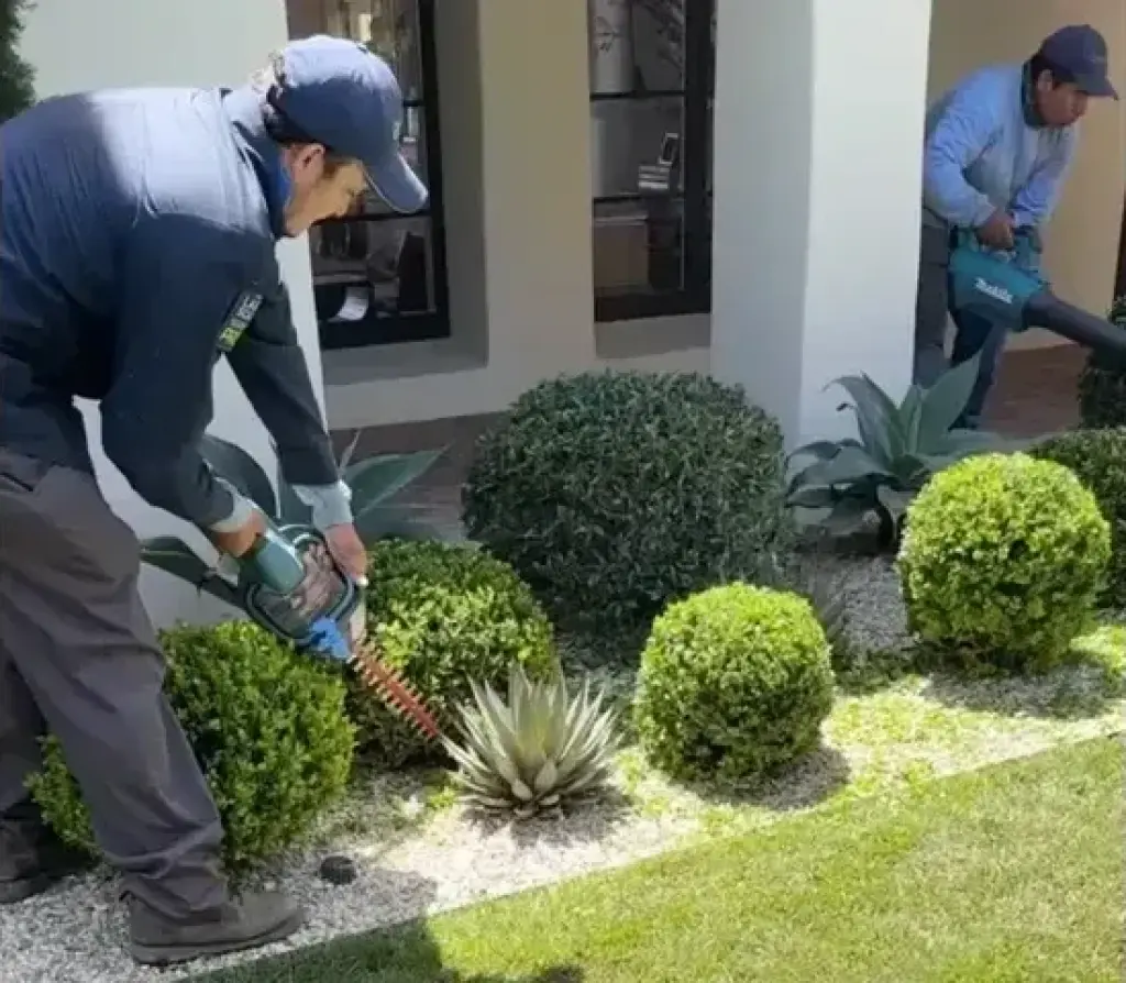 JARDINERÍA Y LANDSCAPING