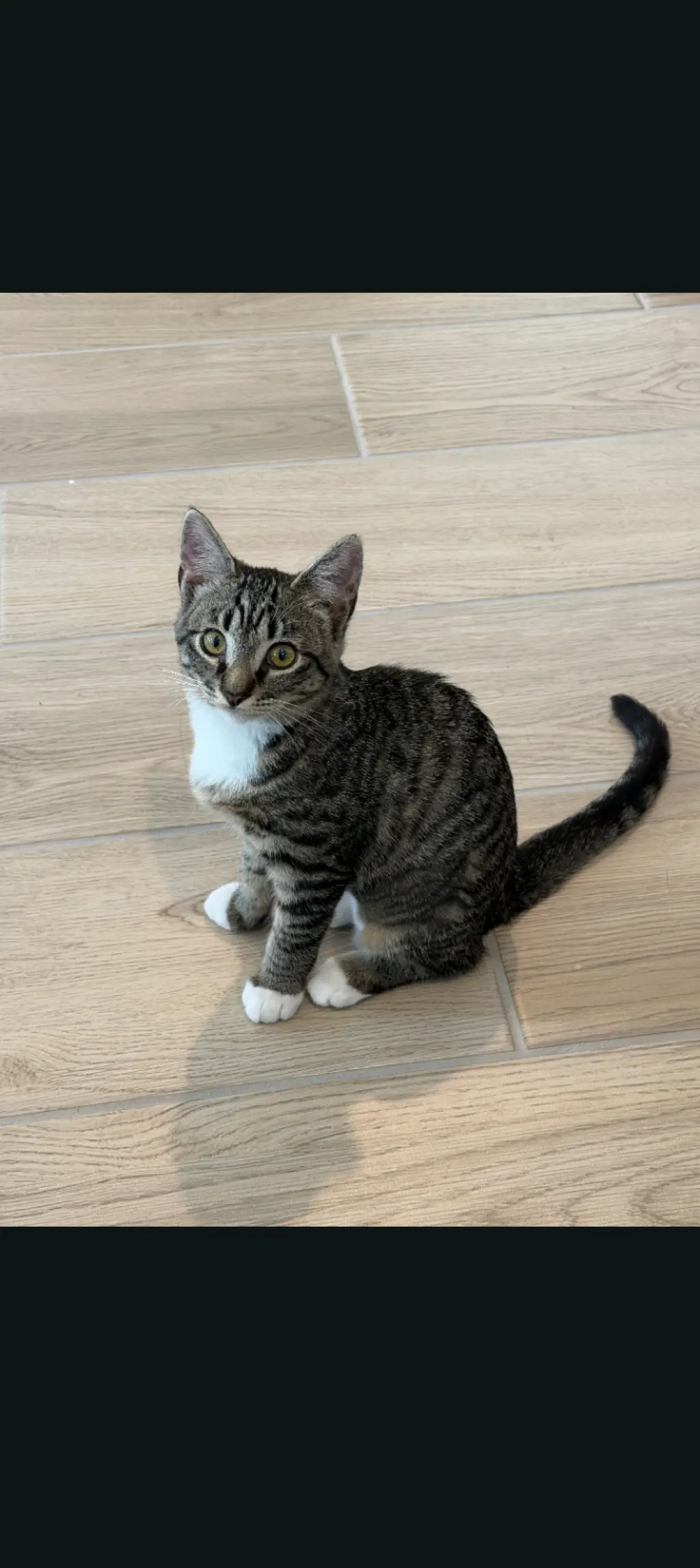 Mimi