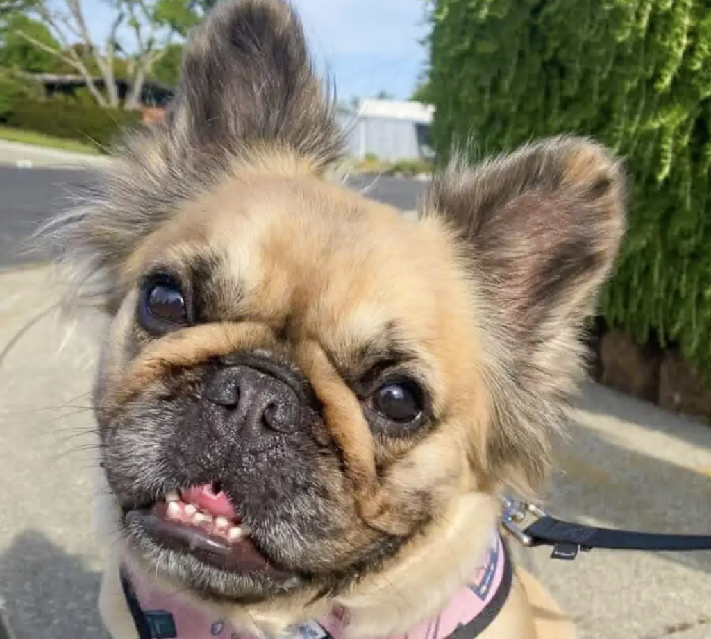 Stormie