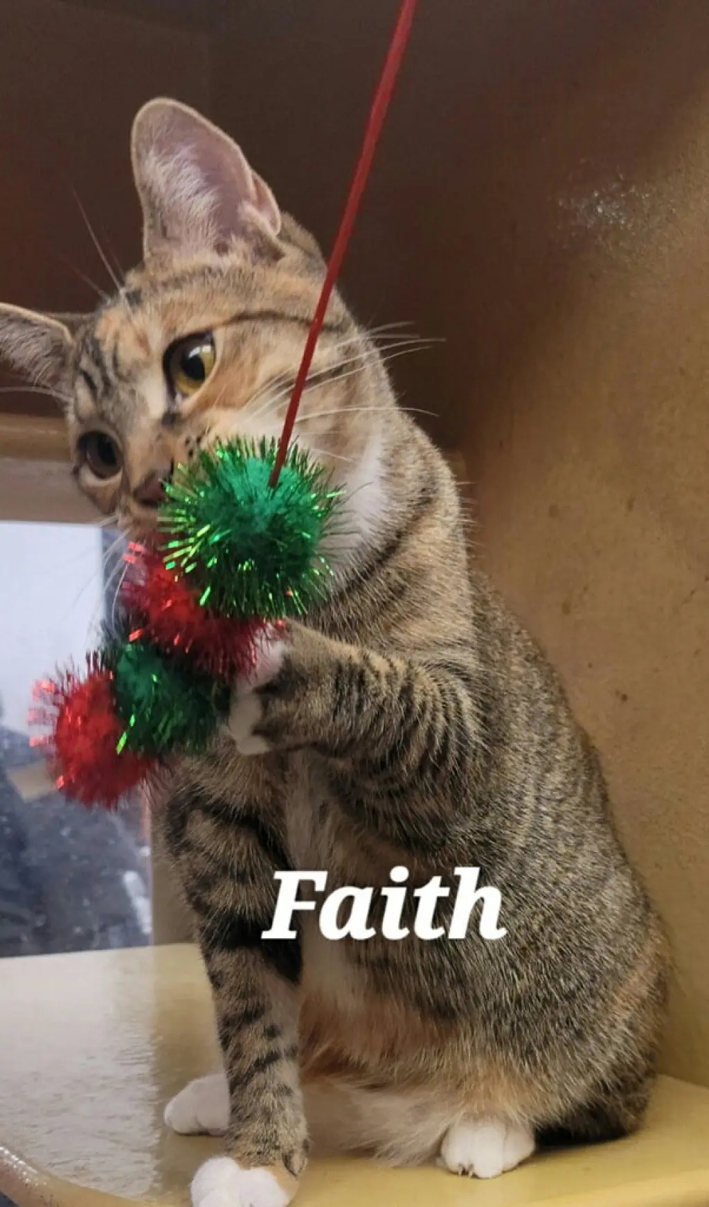 Faith