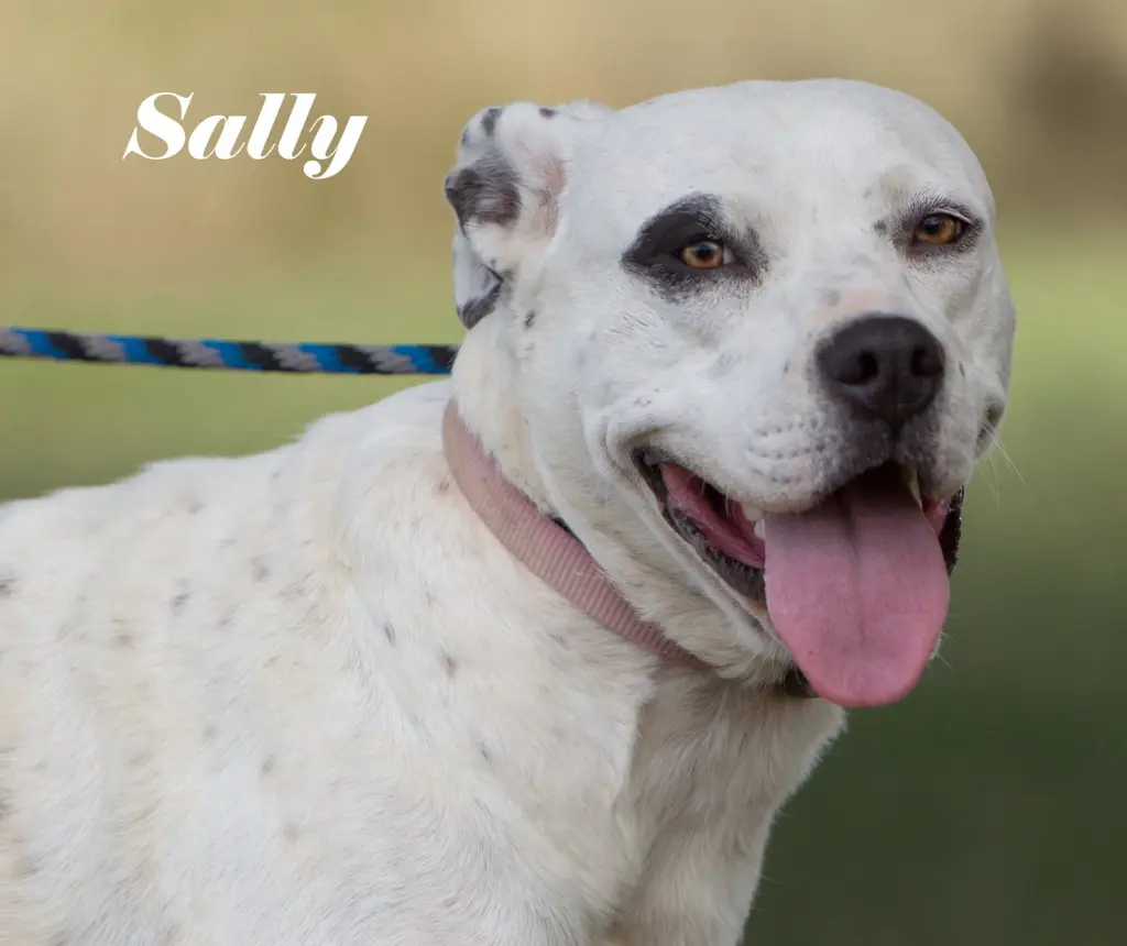 Sally