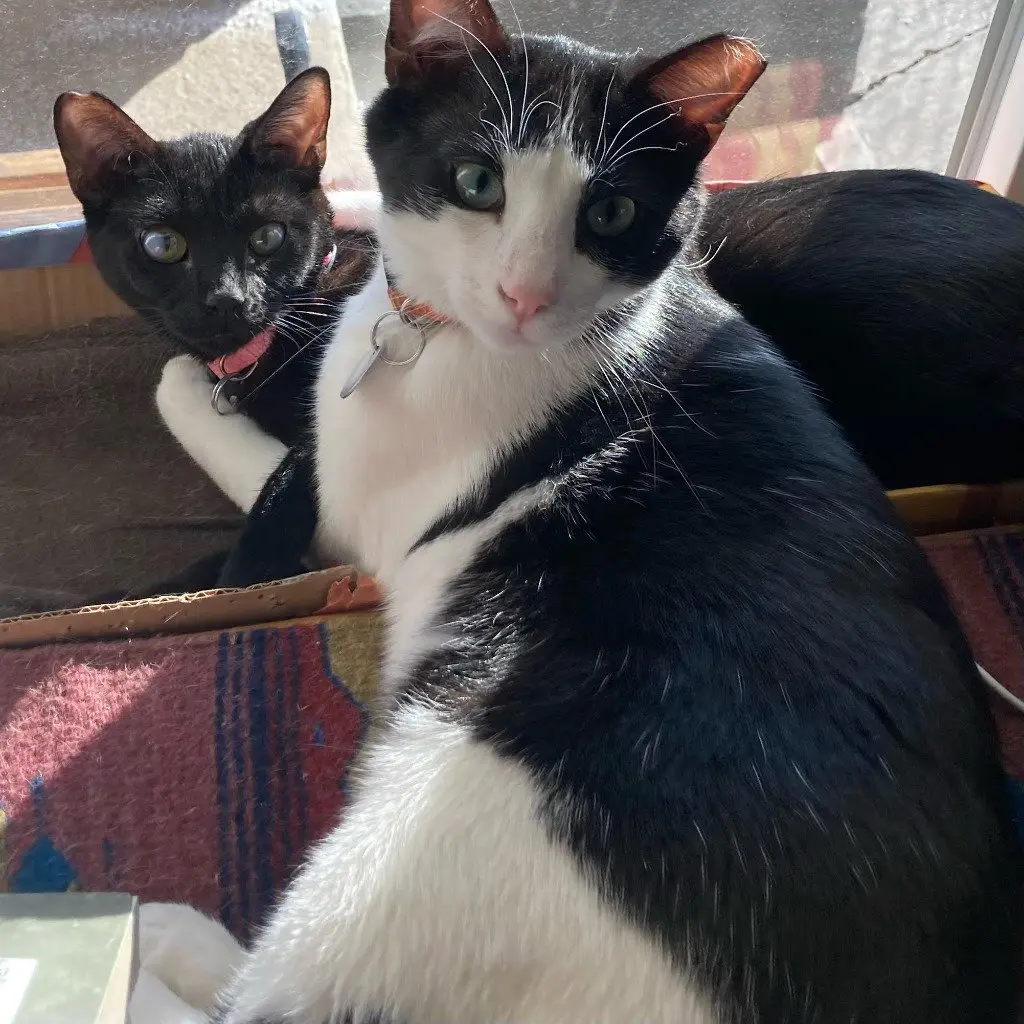 Salt & Pepper