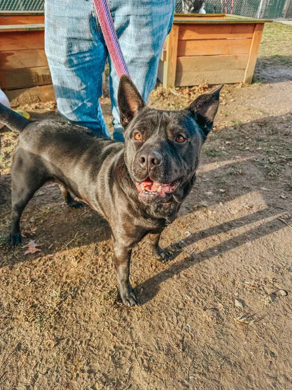 Bruno aka Mr. WooWoo