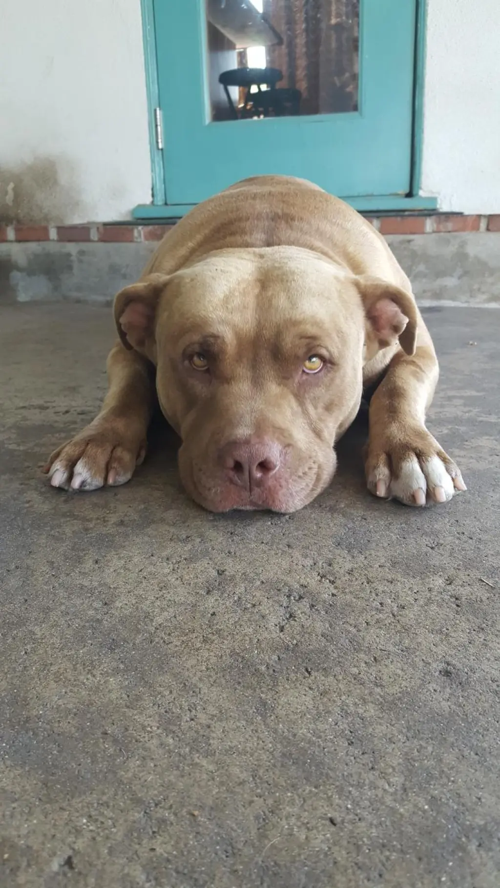 Mason