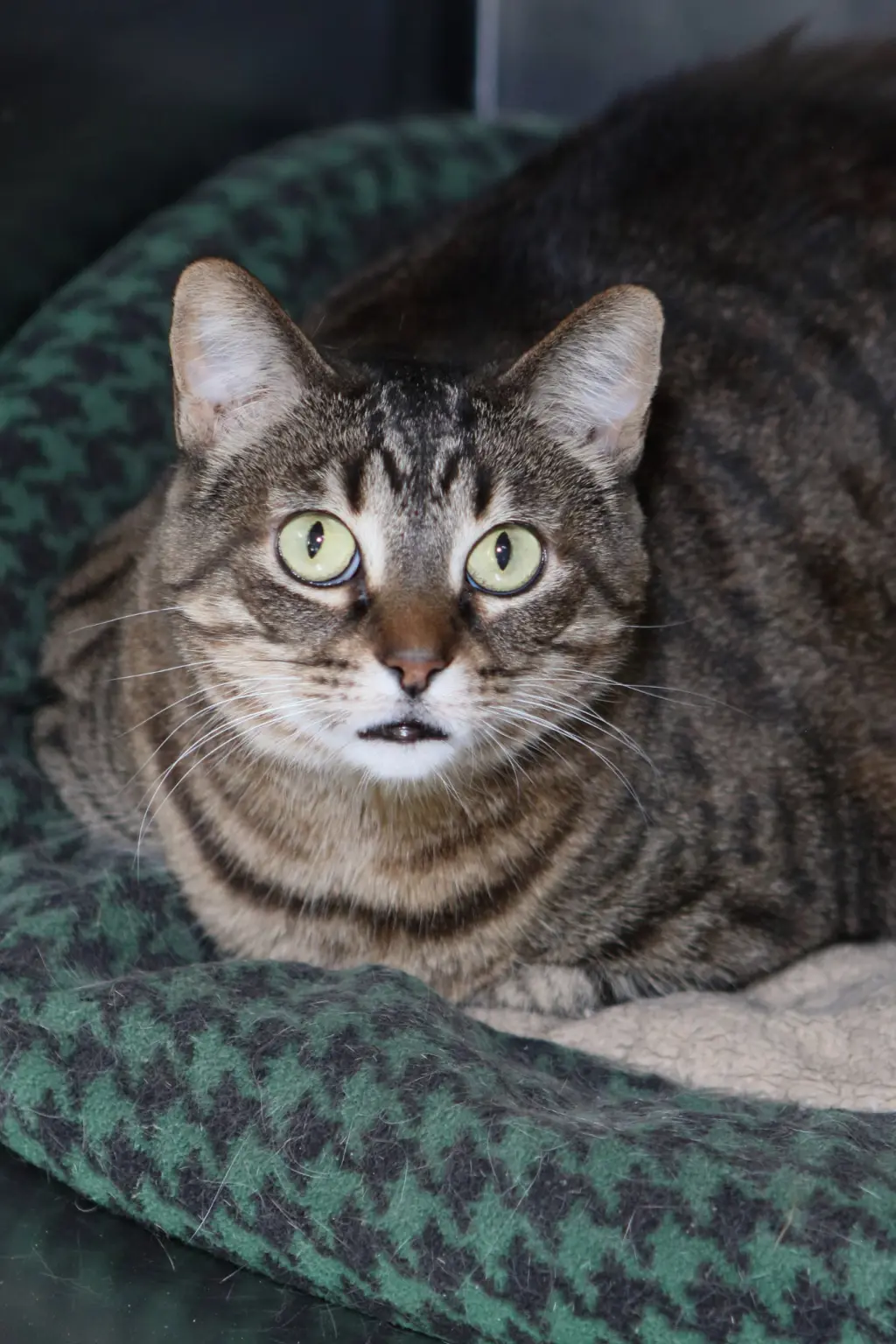 Sabrina