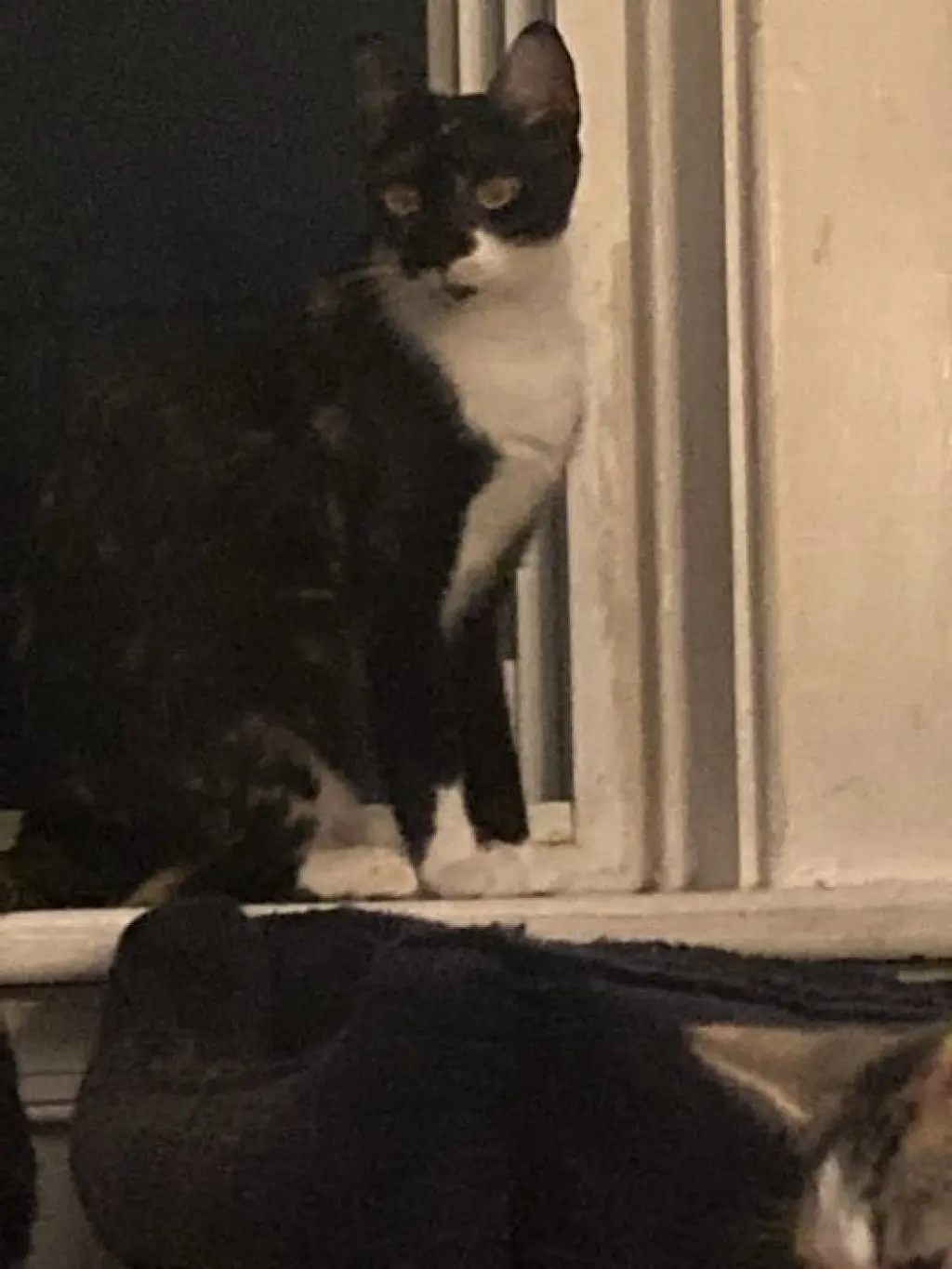 Esmae