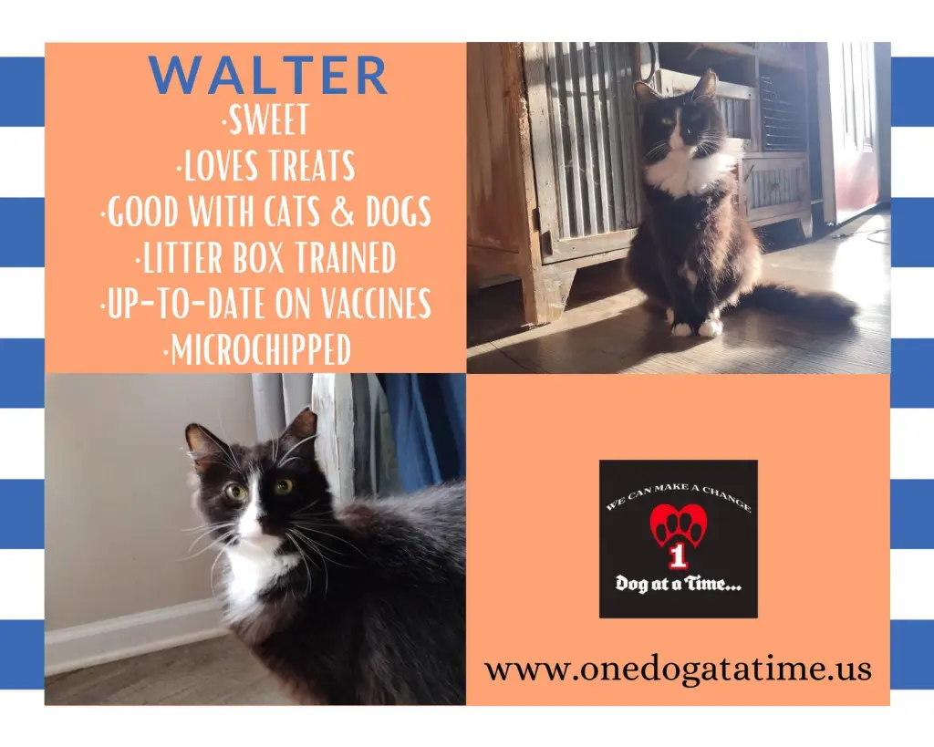 Walter