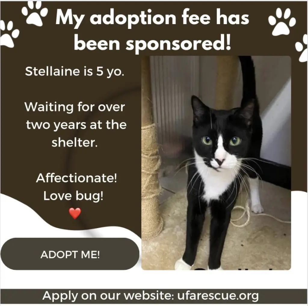 Stellaine