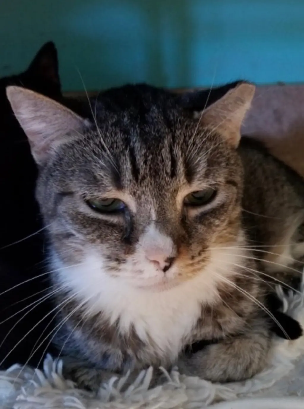 Max