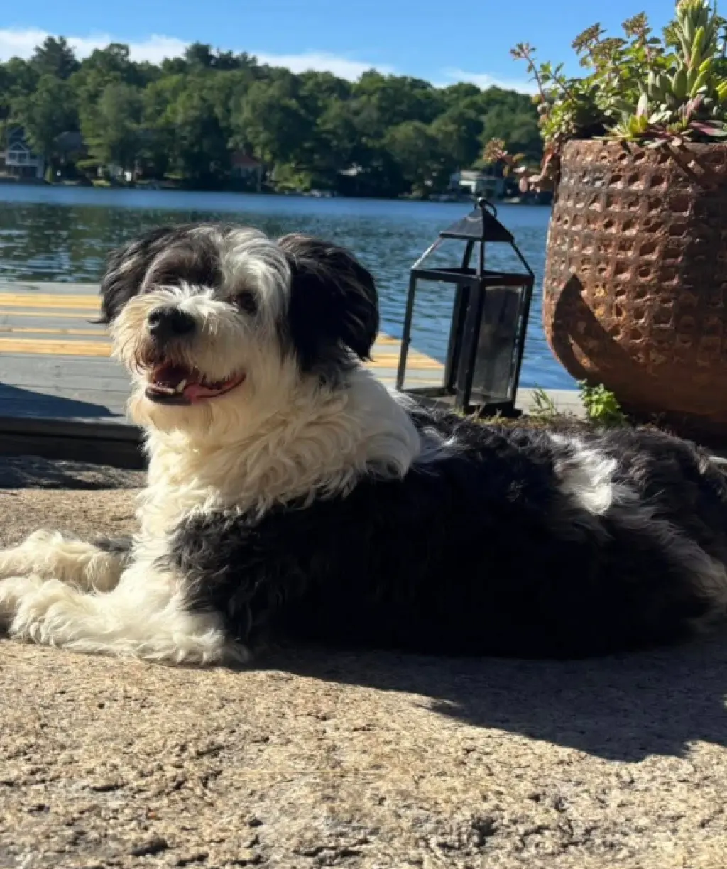 Holly in  RI