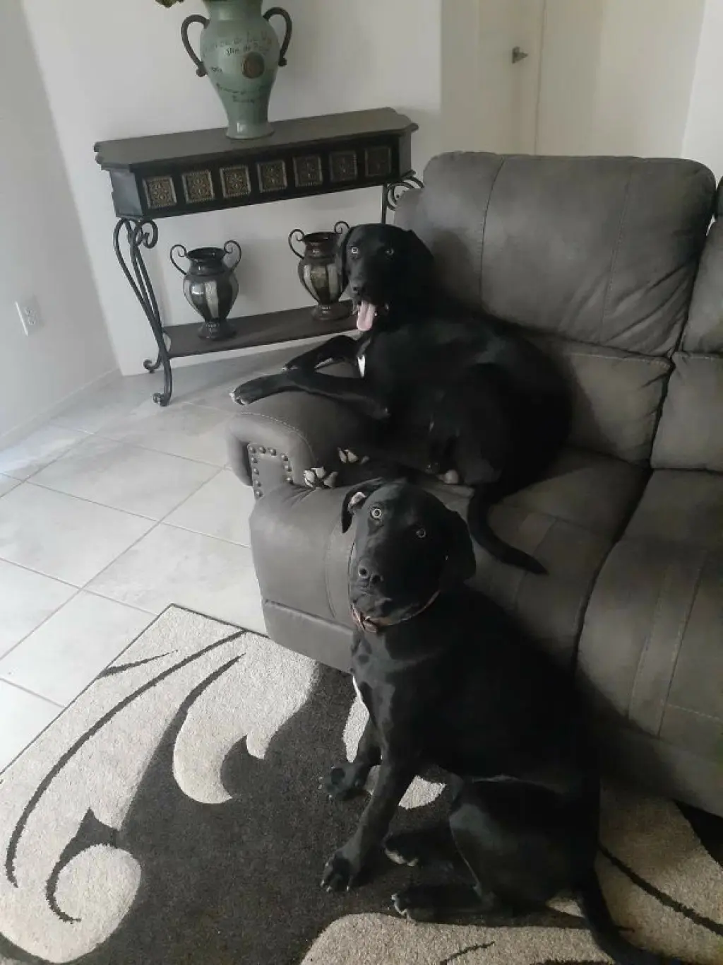 Odin