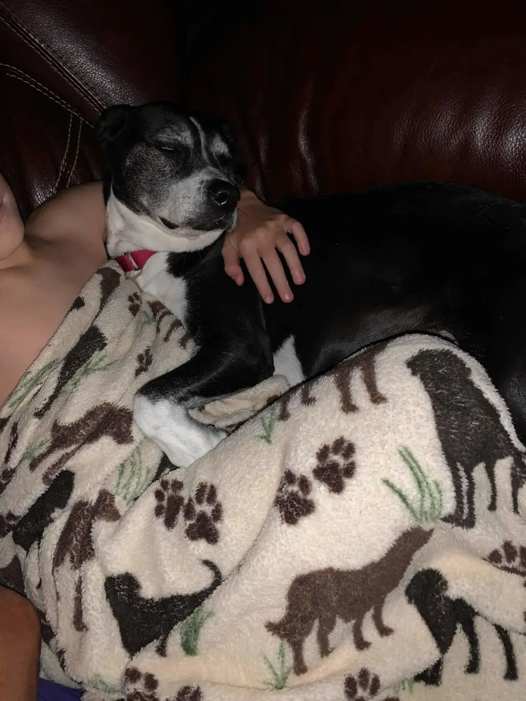 D.O.G.(DeeOhhGee)
