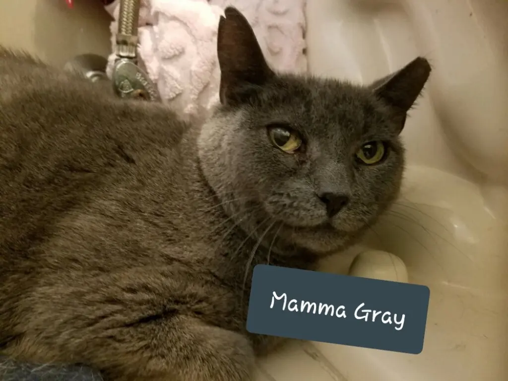 Mamma Gray