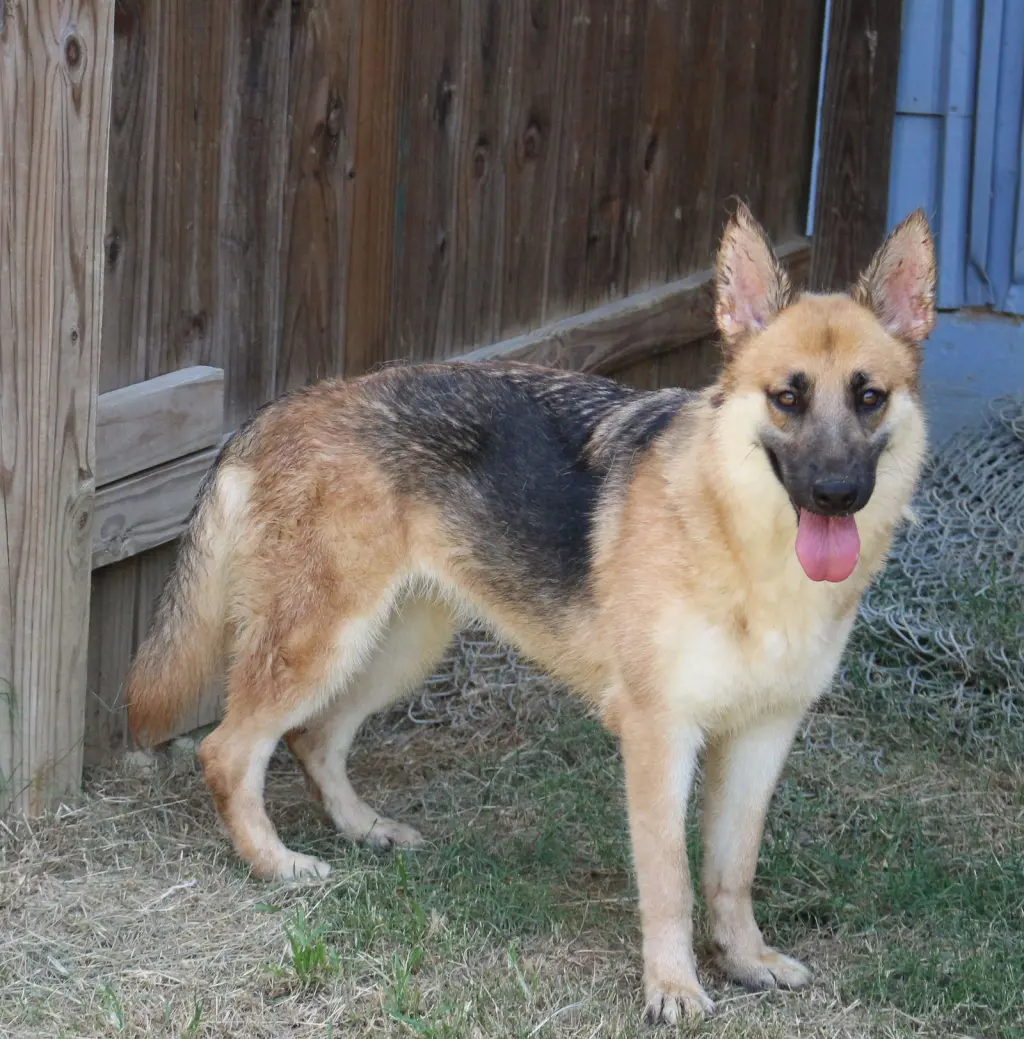 Callie Mae