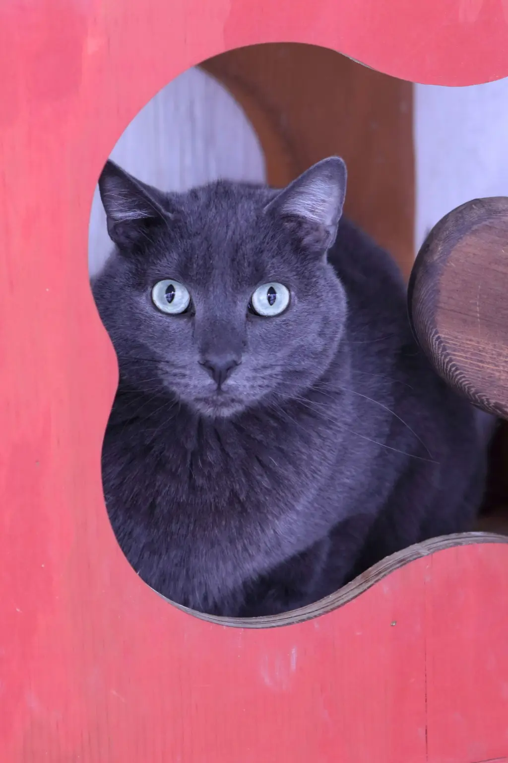 OLI