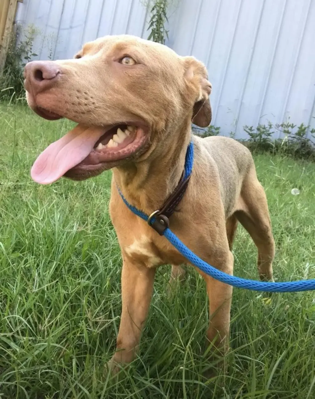 Jack 3's company
