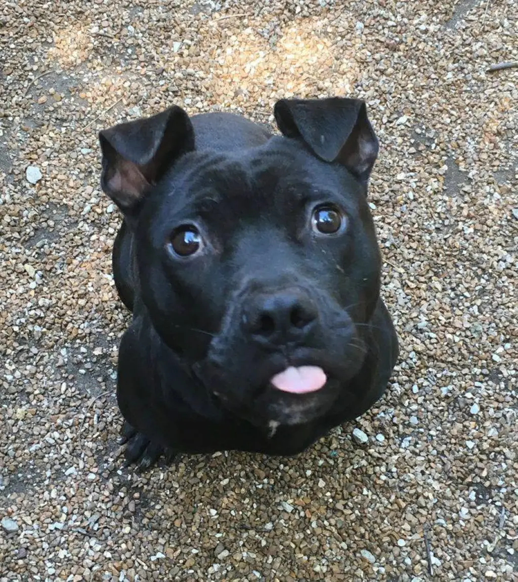 Jax