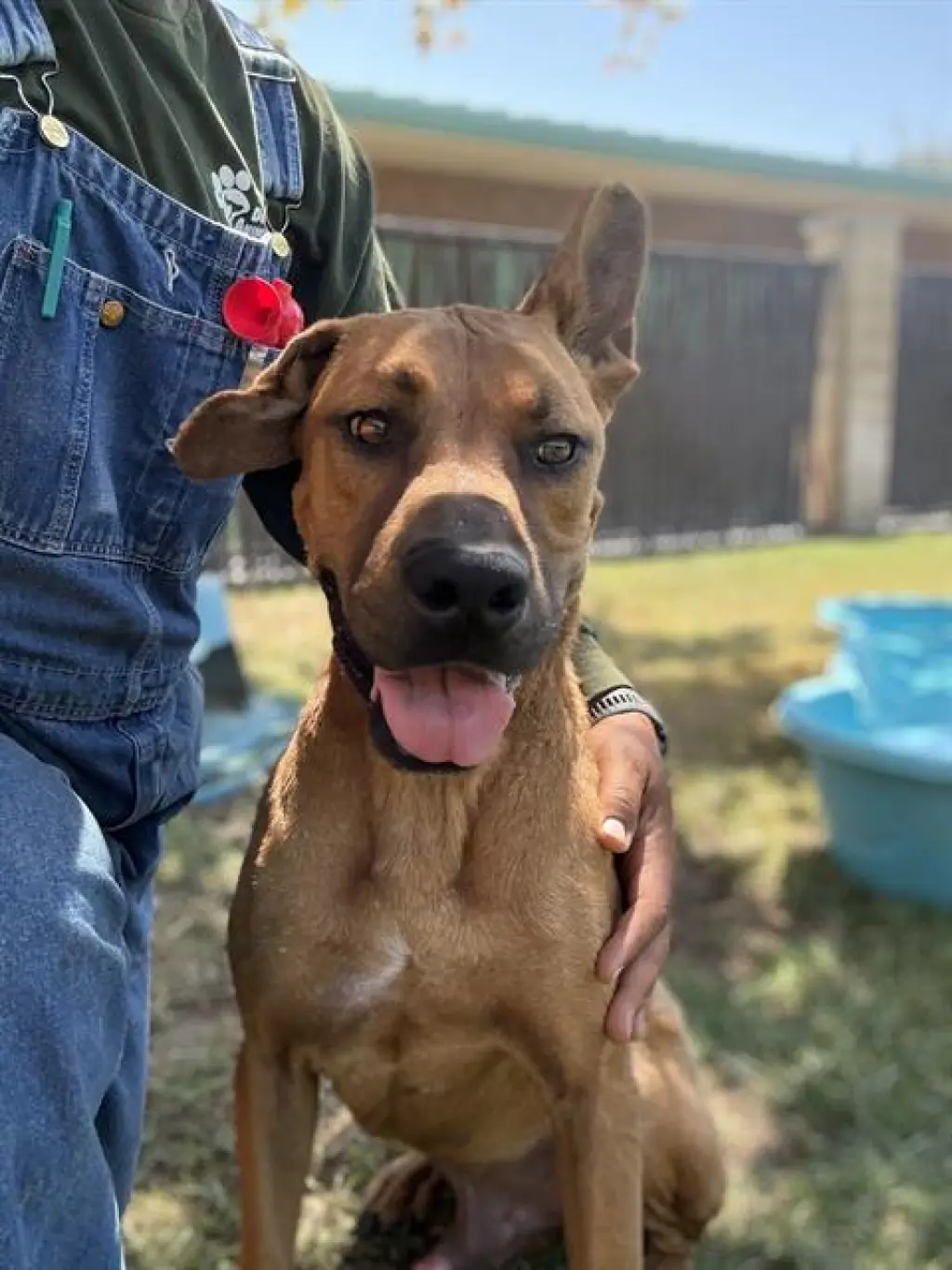 DUKE
