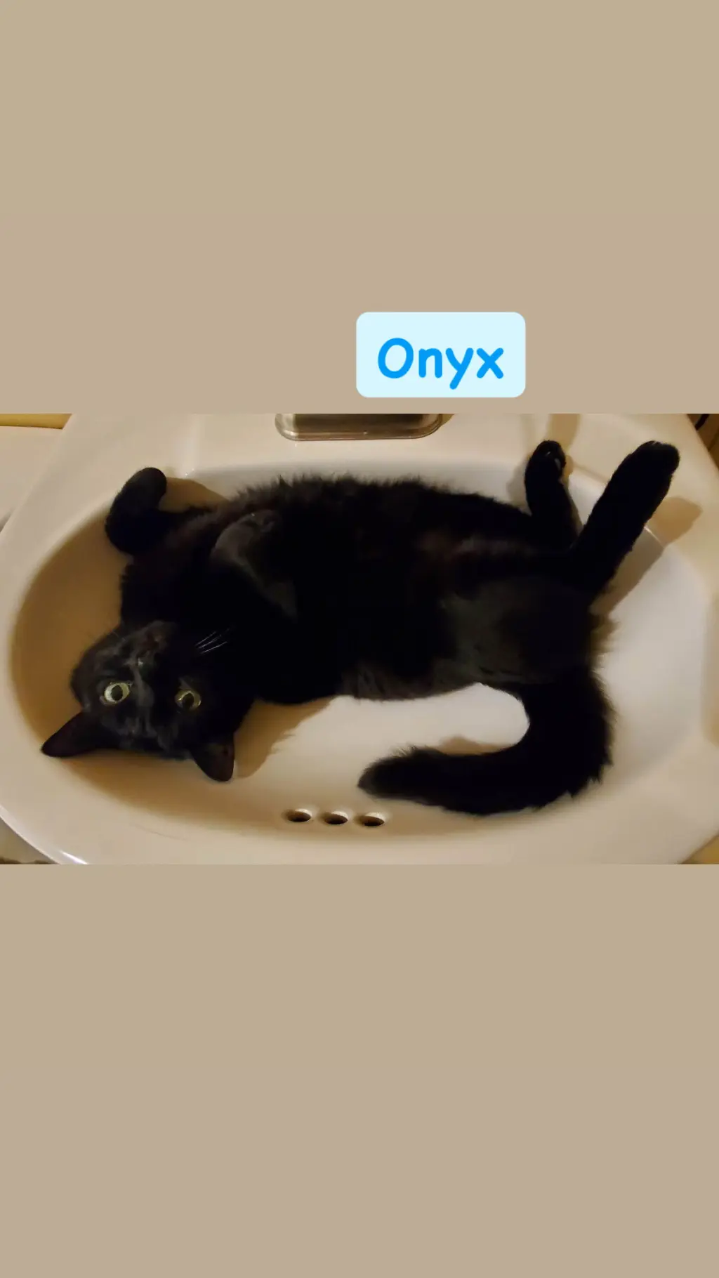 Onyx