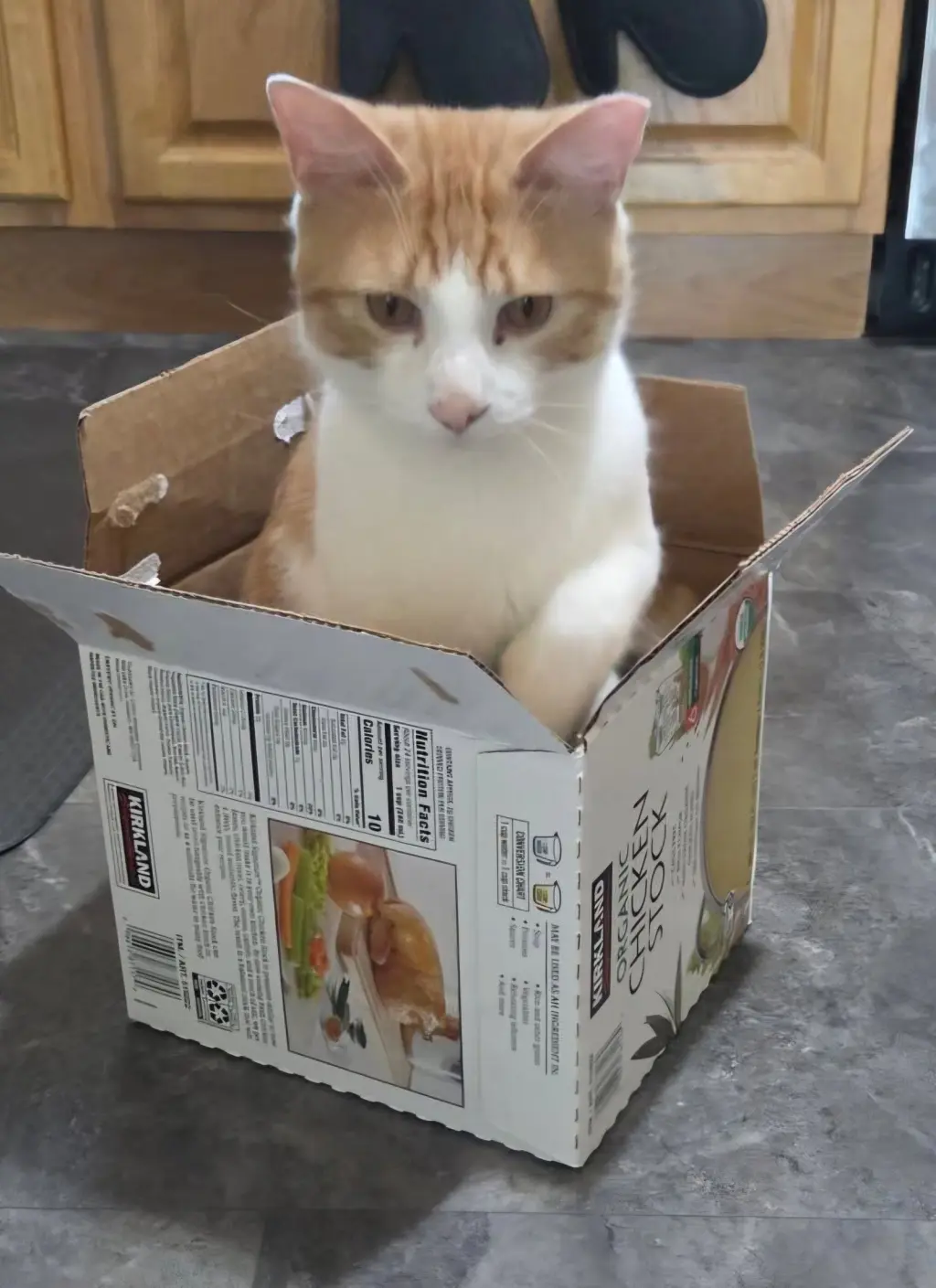 Ali