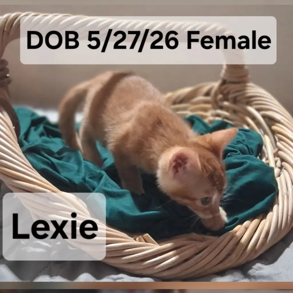 Lexie (& Maisie)