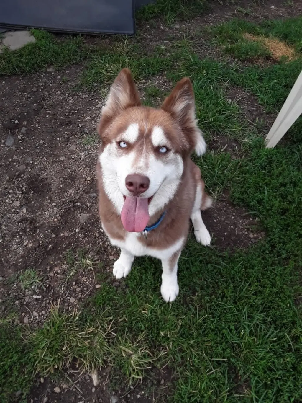 Kita