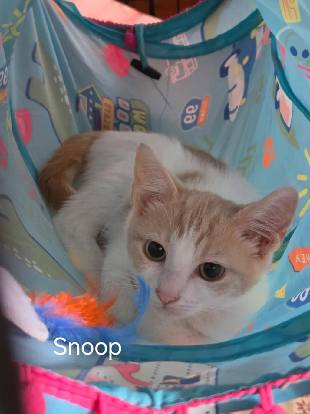 Snoop