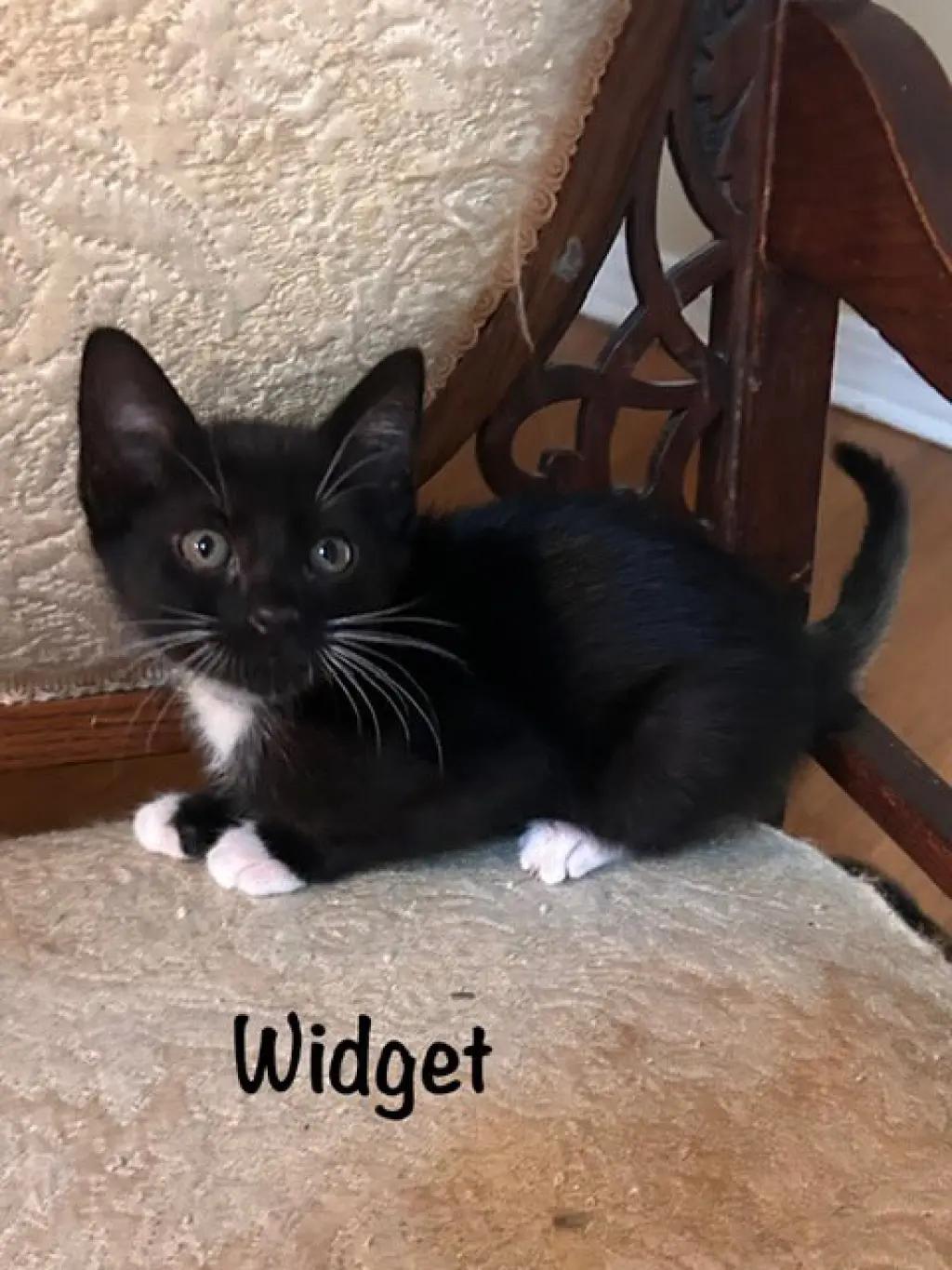 Widget