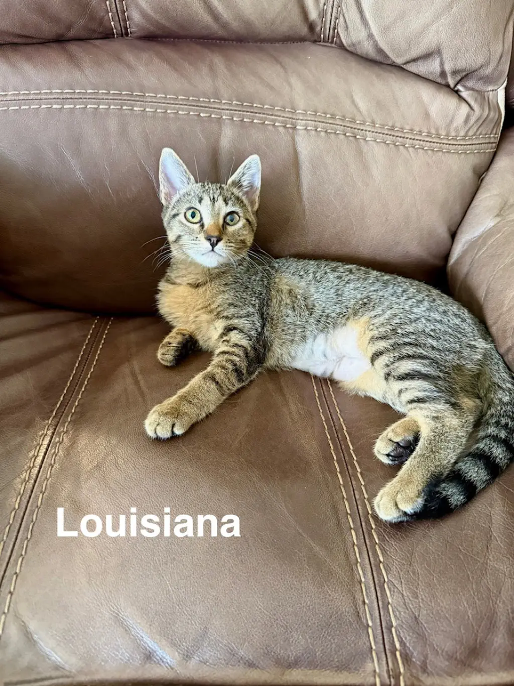 Louisiana (3059)