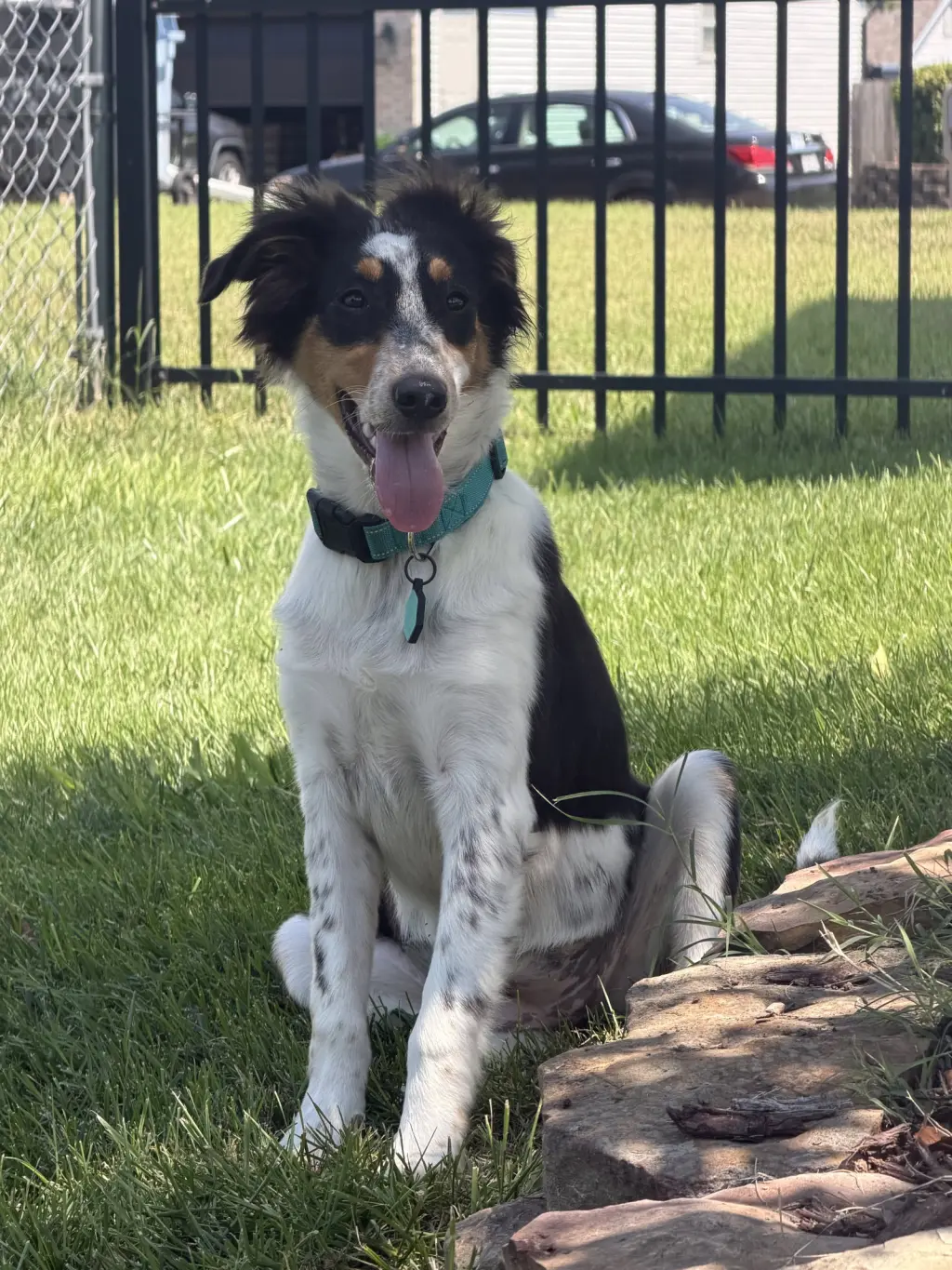 Millie