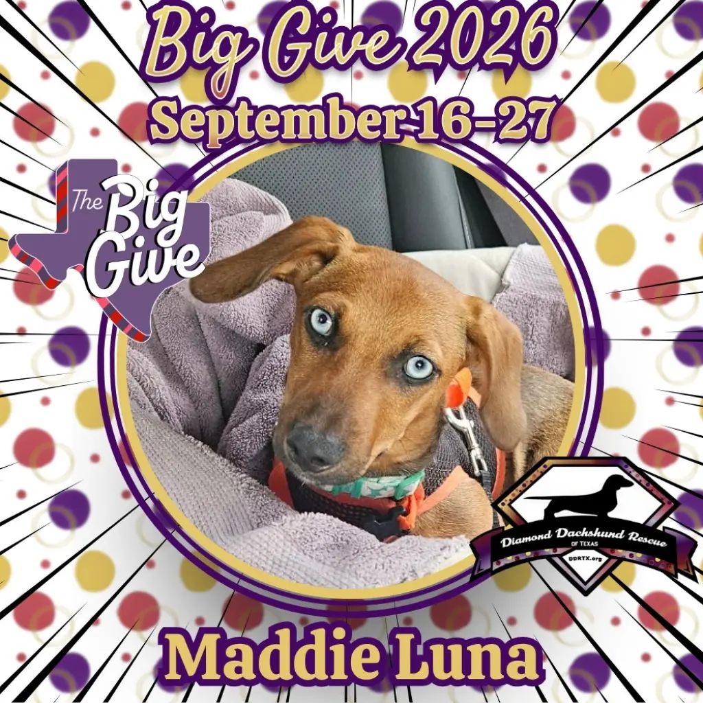 Maddie Luna