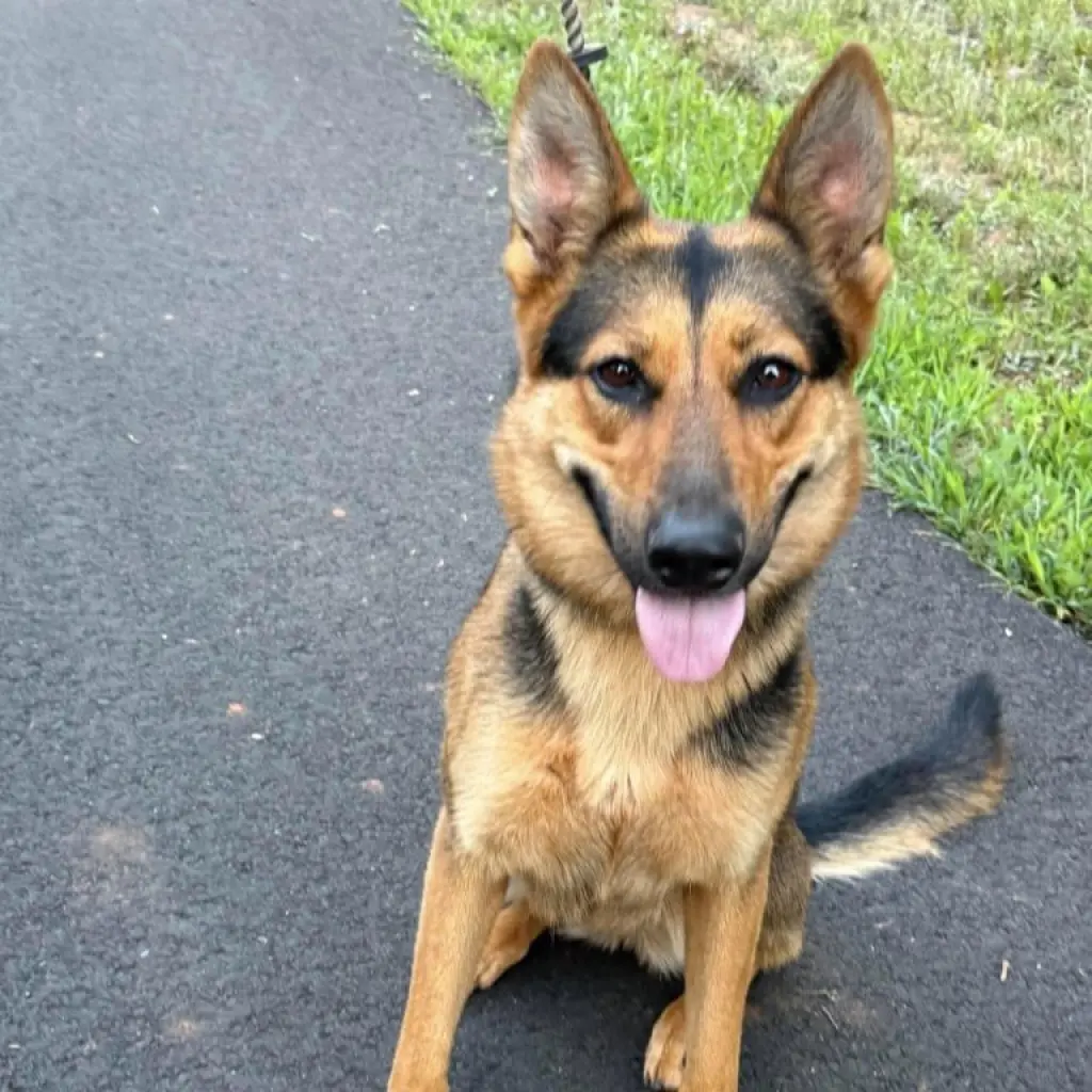 Ellie