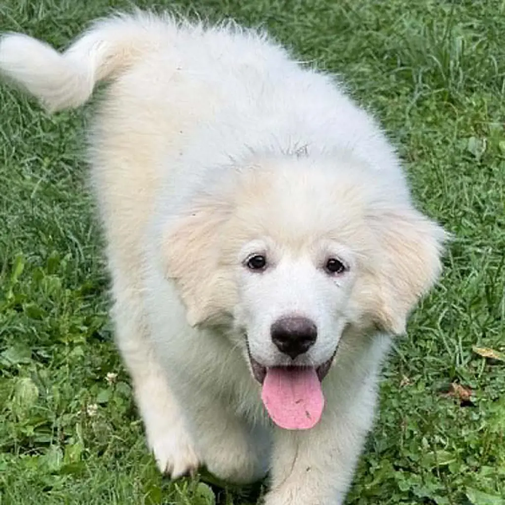 Elsa in OH - Confident, Loving & Joyful!