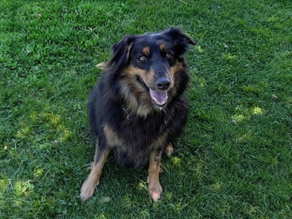 RUSTY