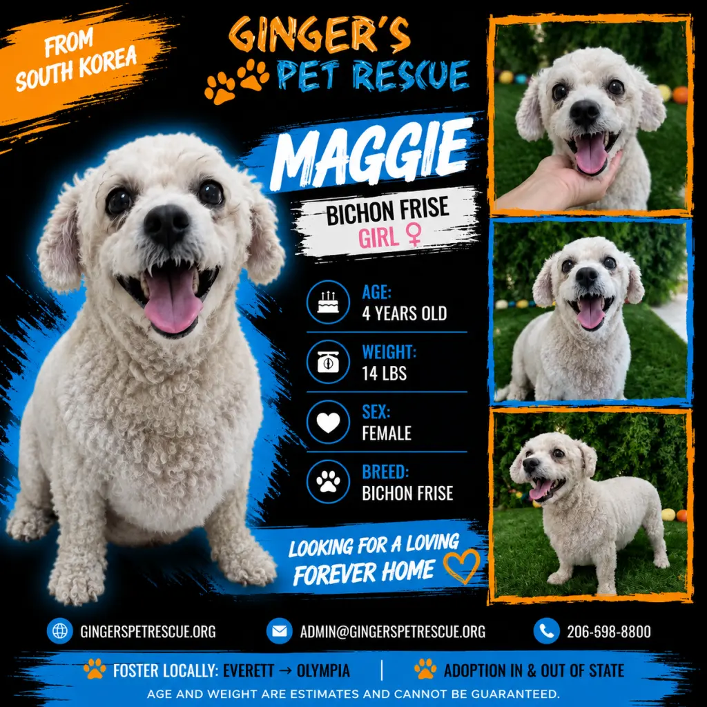 Maggie from Korea