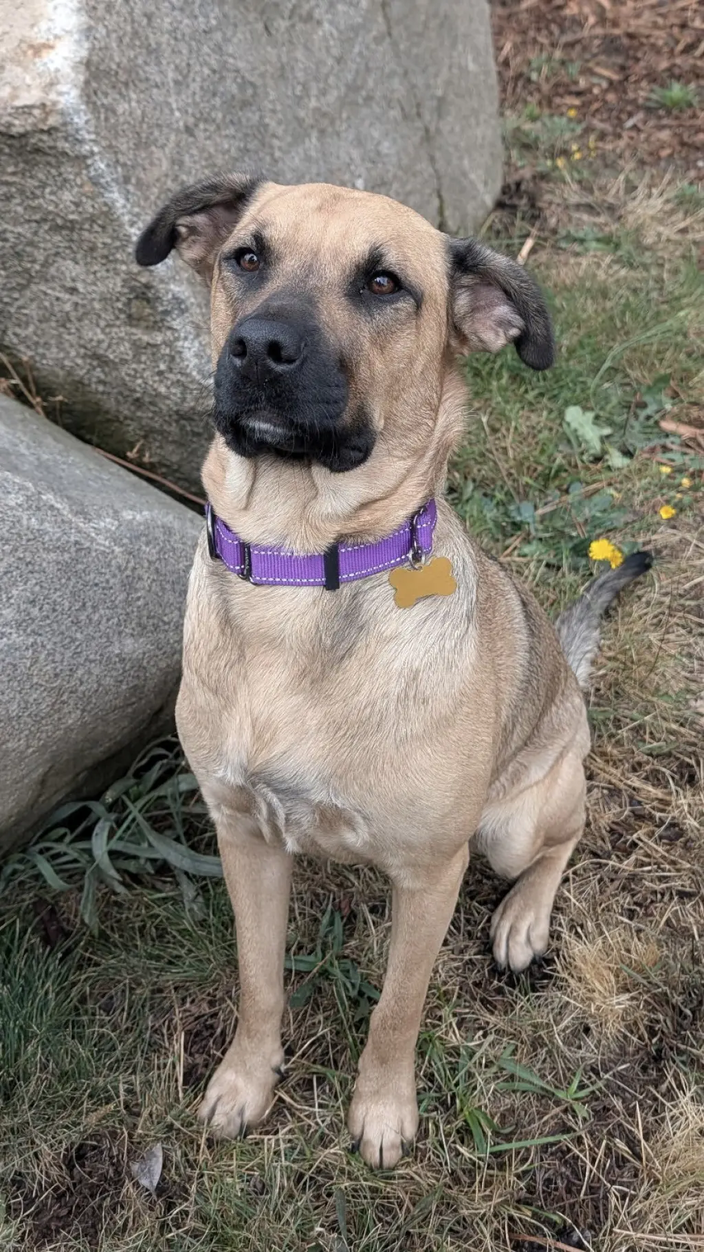 Mara