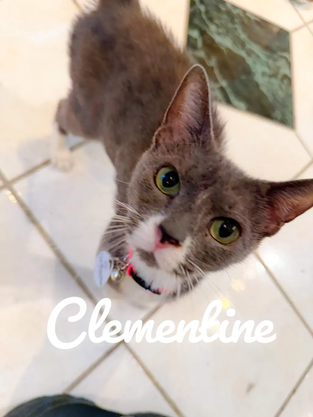 Clementine