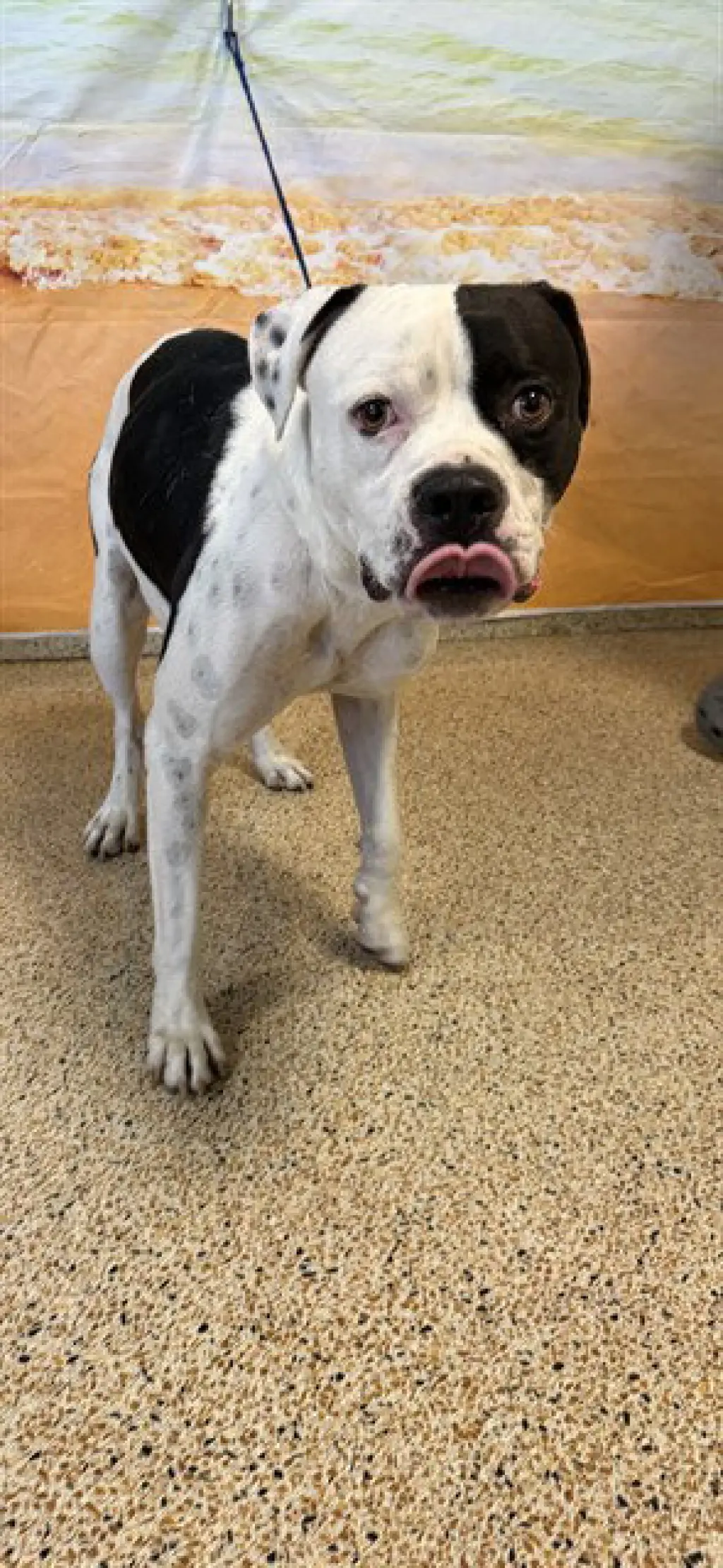 TUCKER