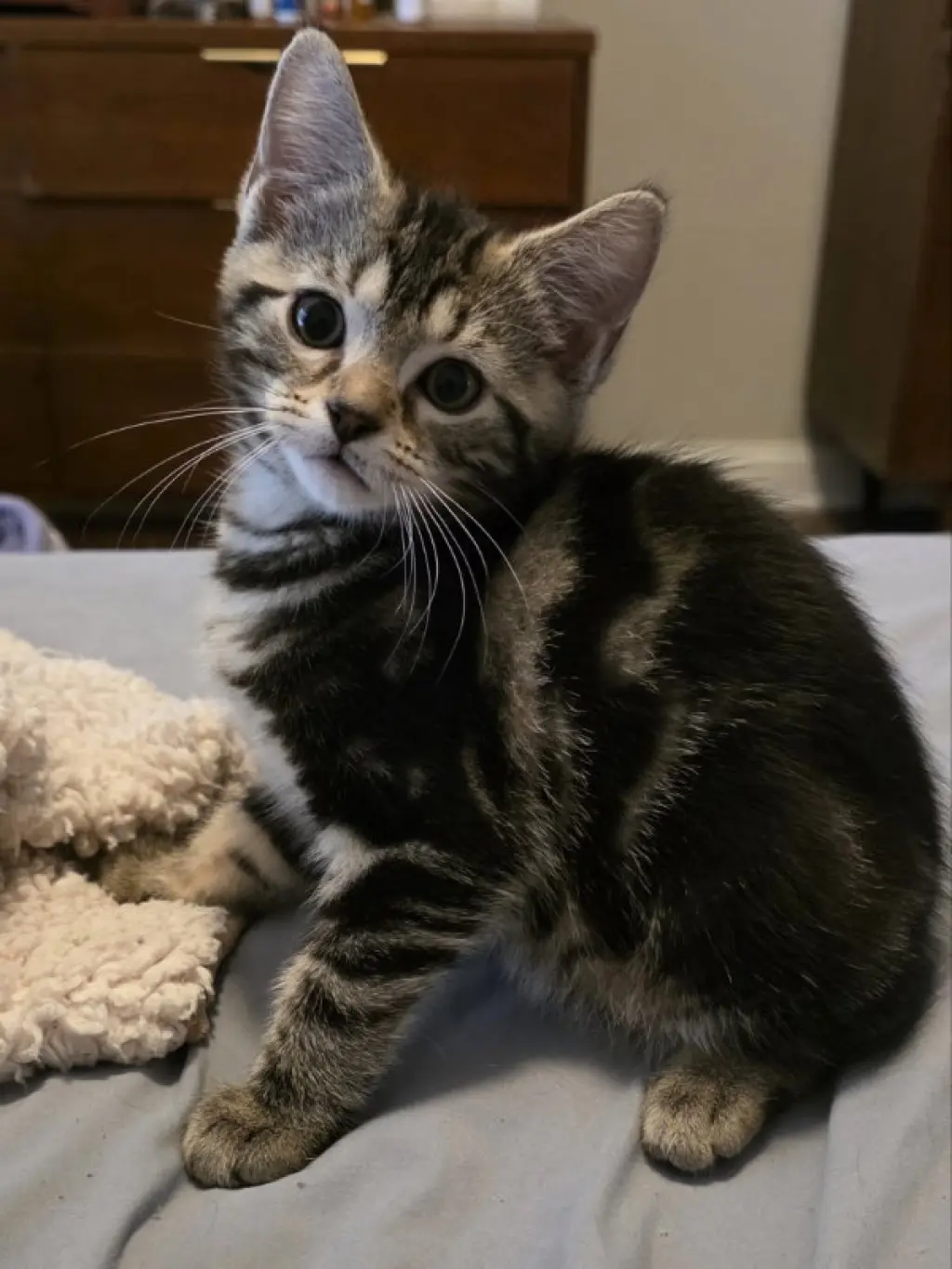 Luka