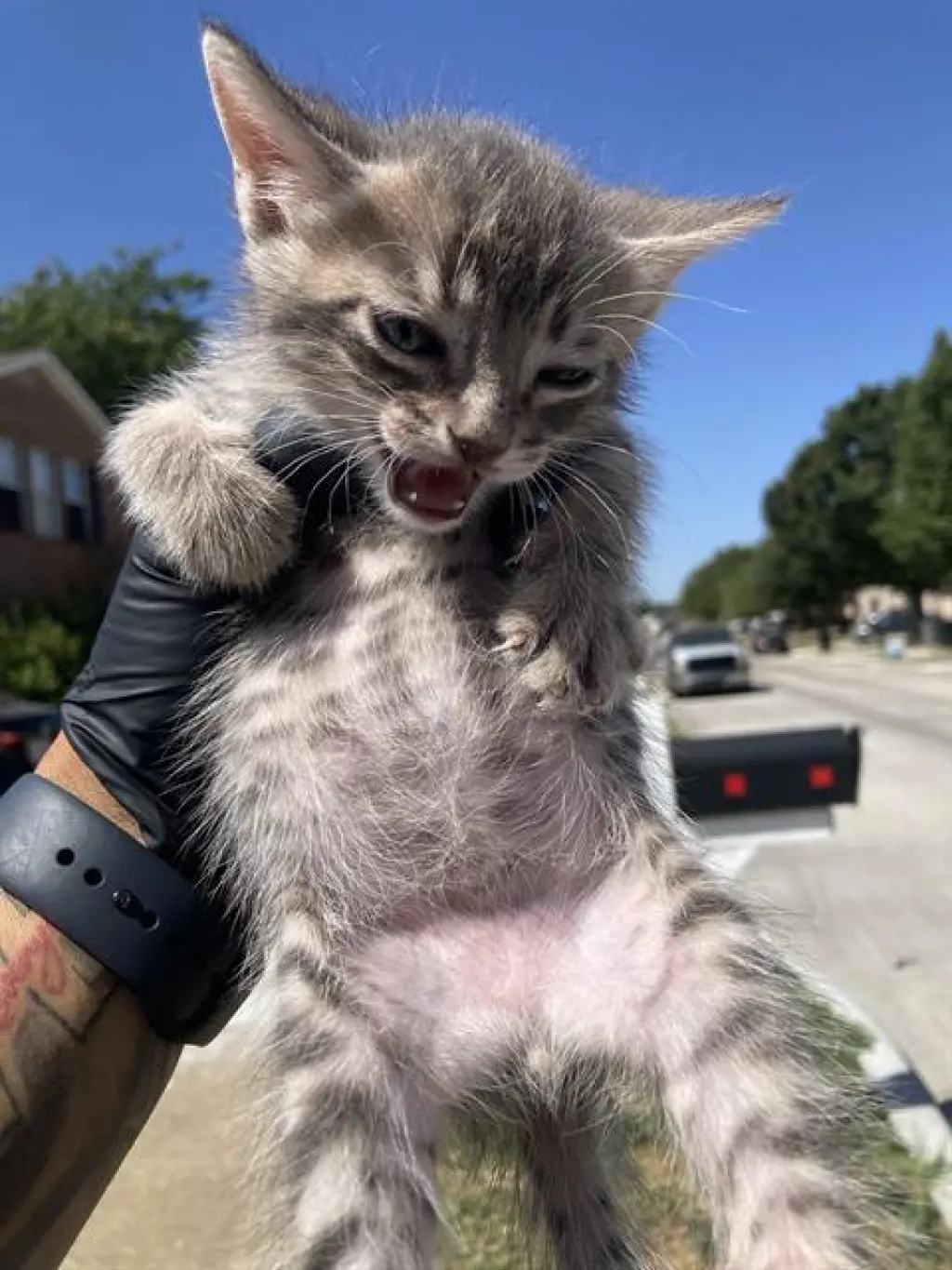 NALA