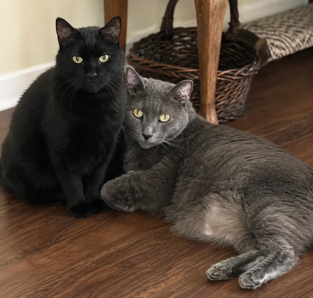 "Turbo & Julian" (VIDEO)
