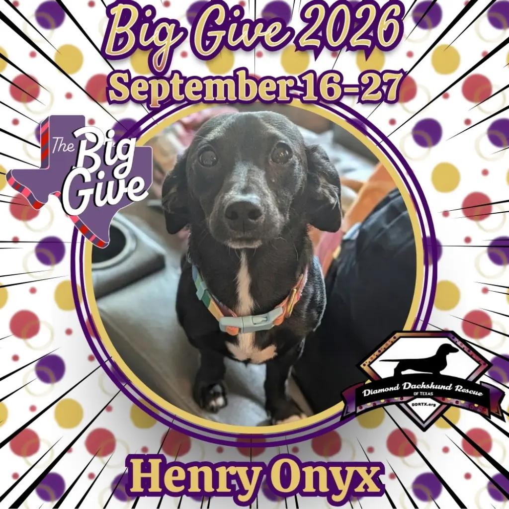 Henry Onyx