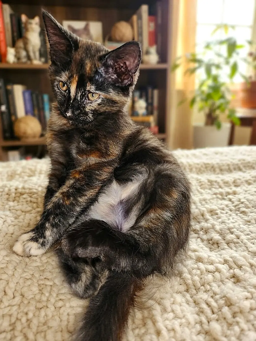 Chloe