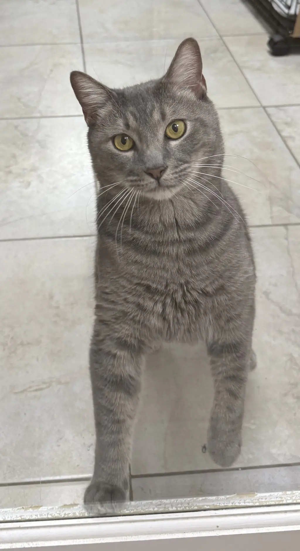 Terrance