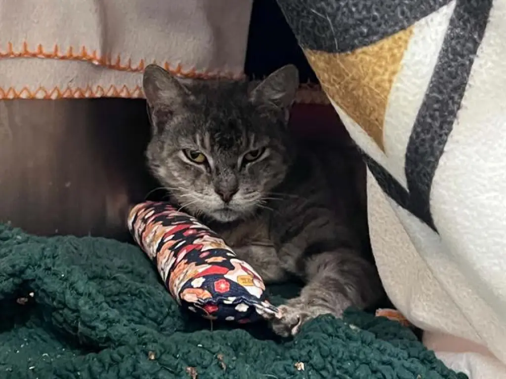 CHARTREUX