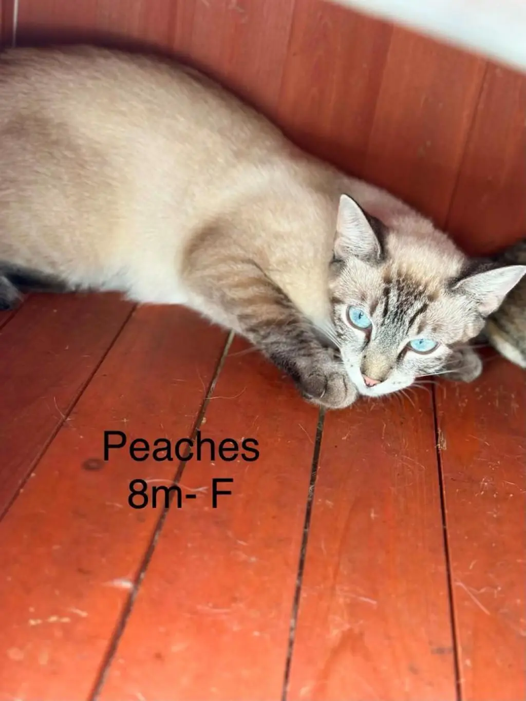 peaches