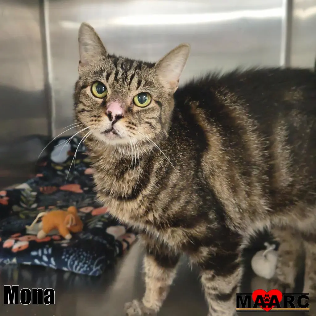 Mona