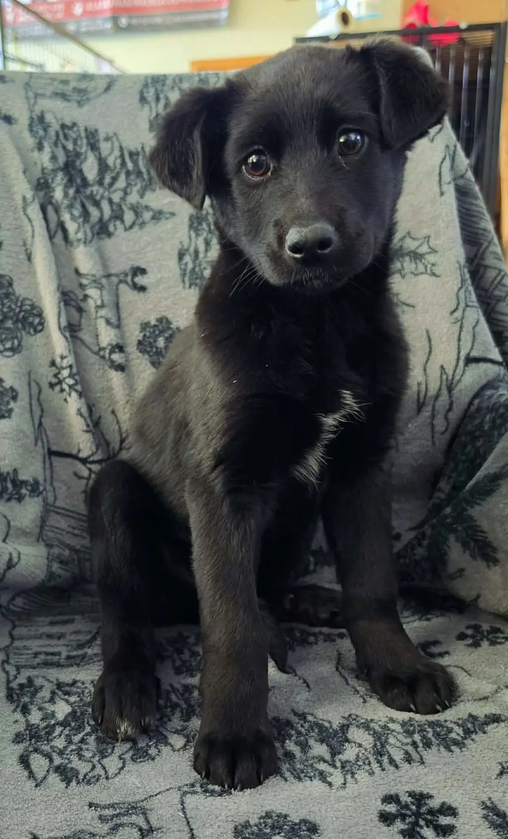 Cinder